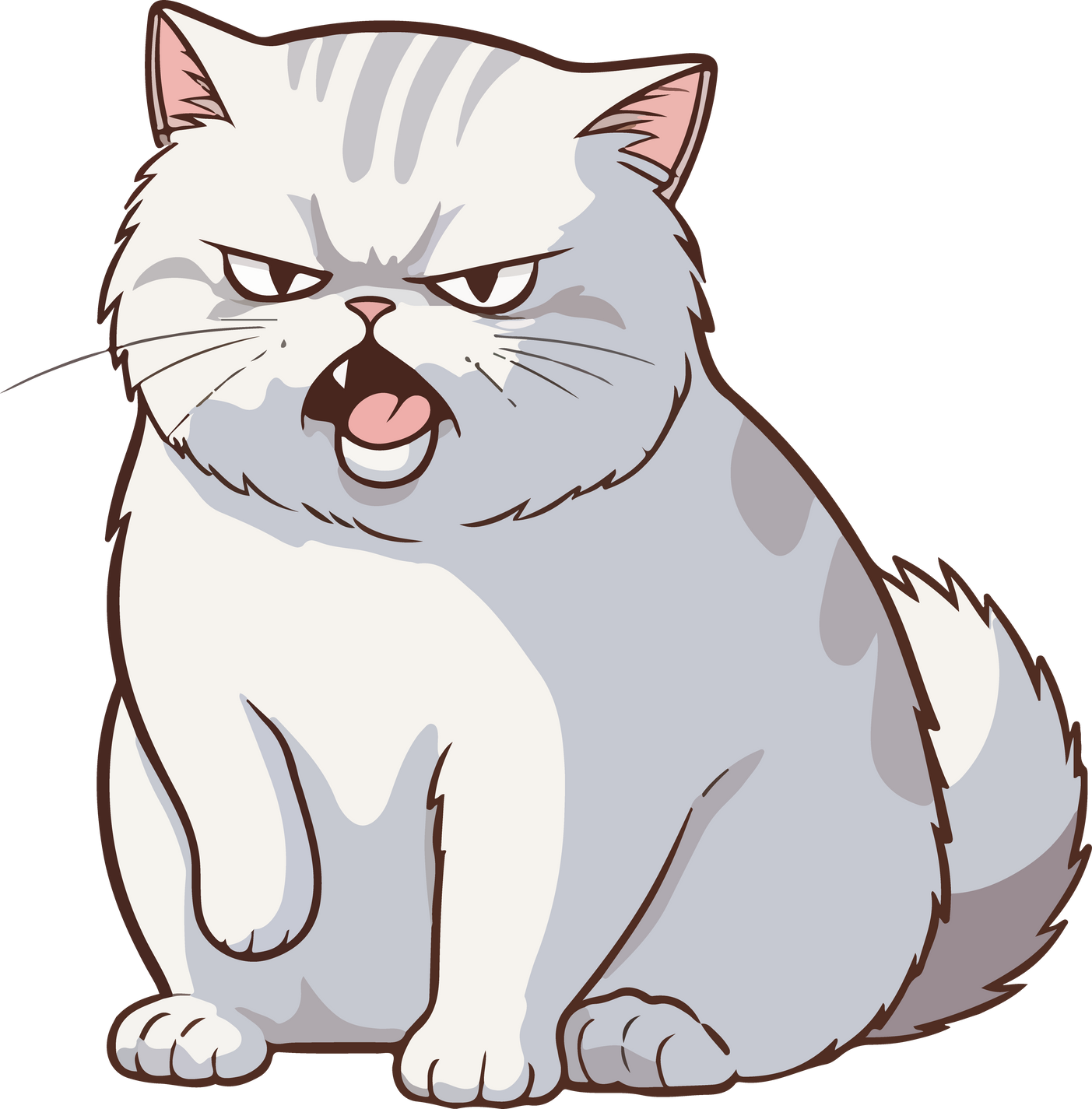 Angry cat, weather upset cat.